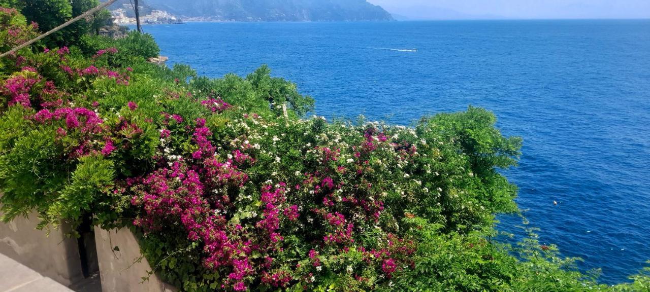 Villa Gianna Amalfi Coast Conca dei Marini Eksteriør bilde
